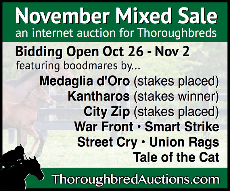 November Mixed Sale