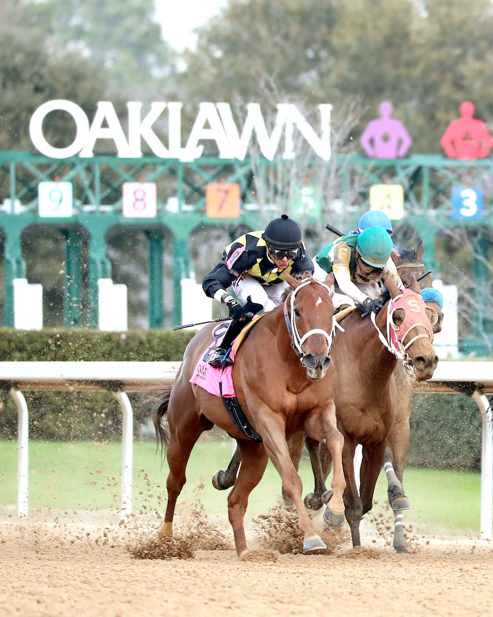 TOUCHDOWN ARKANSAS – Nodouble Breeder’s Stakes – 02-21-26 – R08 – Oaklawn Park – Finish 03 – Kara West (1) Touchdown Arkansas